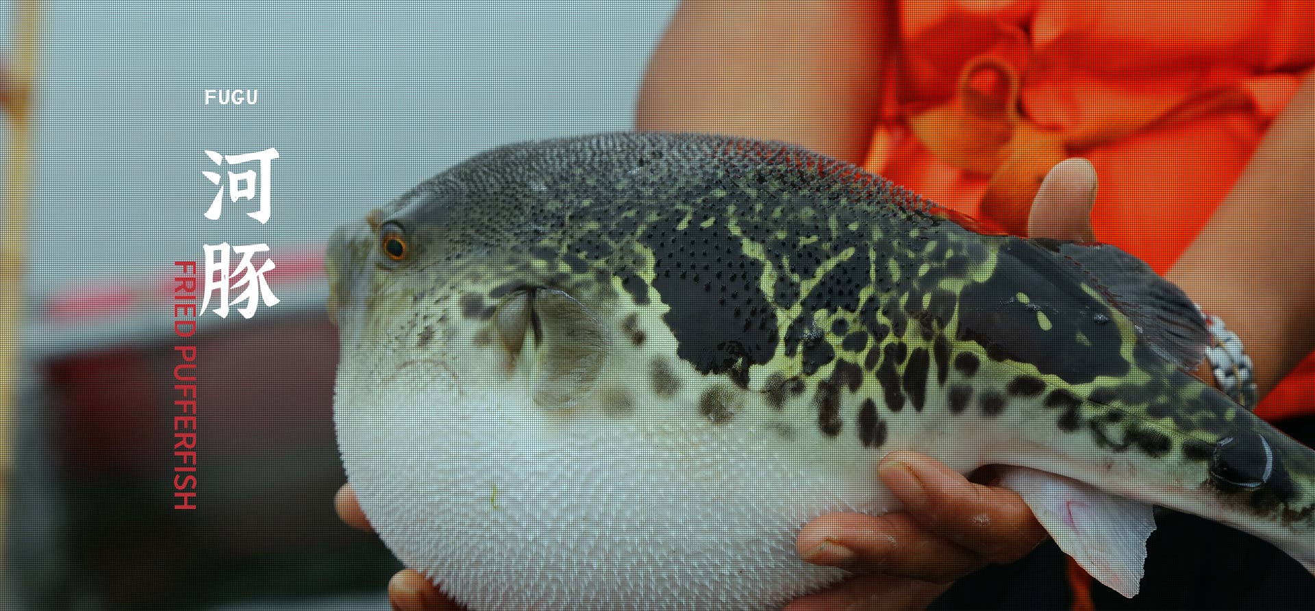 币游·国际(中国)官方网站