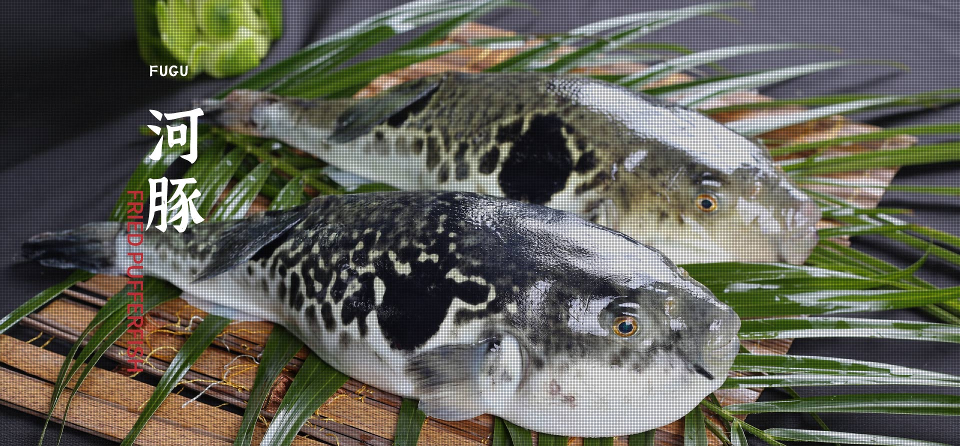 币游·国际(中国)官方网站